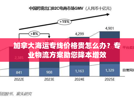 加拿大海运专线价格贵怎么办？专业物流方案助您降本增效