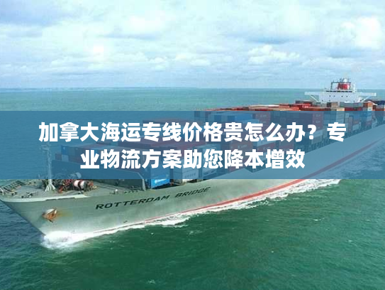 加拿大海运专线价格贵怎么办？专业物流方案助您降本增效