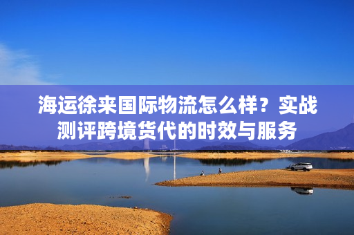 海运徐来国际物流怎么样？实战测评跨境货代的时效与服务