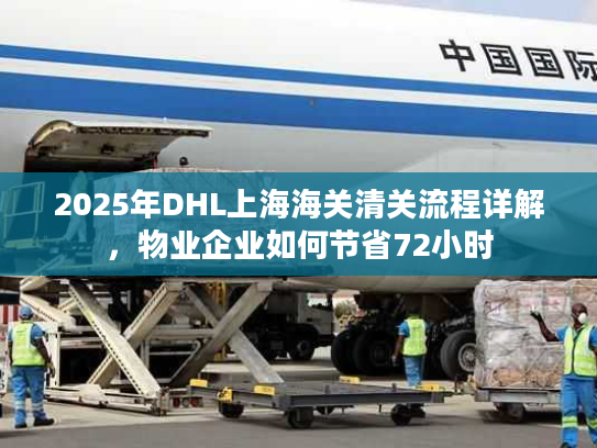 2025年DHL上海海关清关流程详解，物业企业如何节省72小时