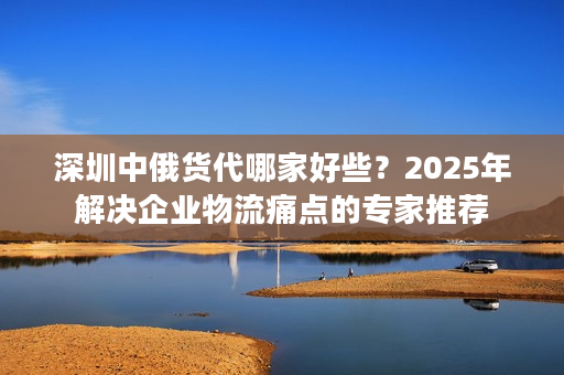 深圳中俄货代哪家好些？2025年解决企业物流痛点的专家推荐