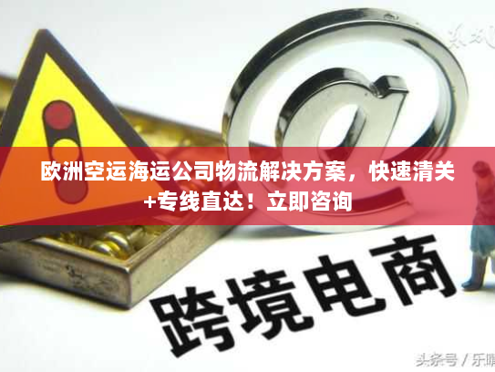 欧洲空运海运公司物流解决方案，快速清关+专线直达！立即咨询