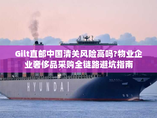 Gilt直邮中国清关风险高吗?物业企业奢侈品采购全链路避坑指南