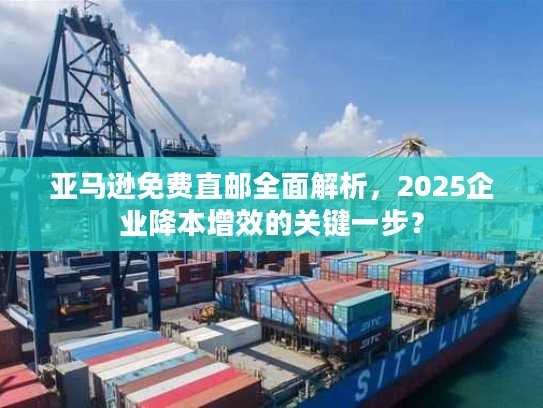亚马逊免费直邮全面解析，2025企业降本增效的关键一步？