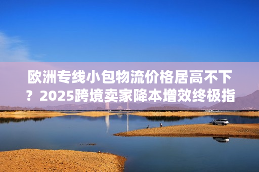 欧洲专线小包物流价格居高不下？2025跨境卖家降本增效终极指南