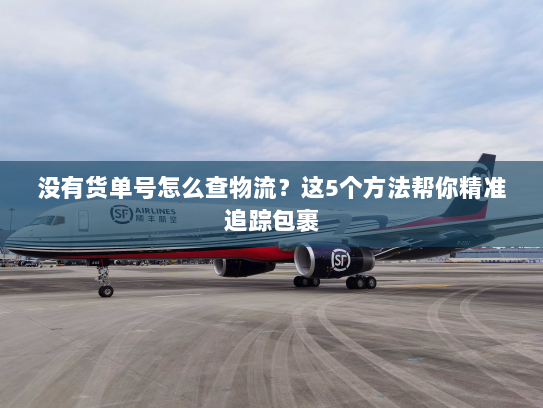 没有货单号怎么查物流?这5个方法帮你精准追踪包裹 没有货单号怎么查物流?这5个方法帮你精准追踪包裹
