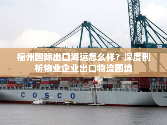 福州国际出口海运怎么样？深度剖析物业企业出口物流困境