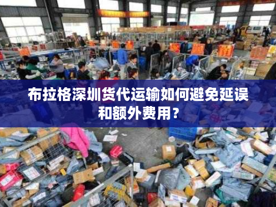 布拉格深圳货代运输如何避免延误和额外费用？