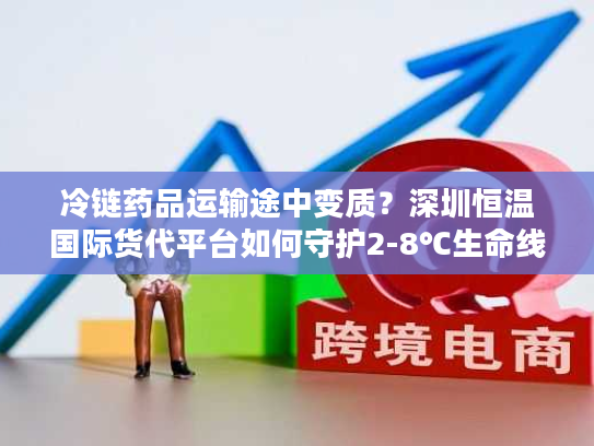 冷链药品运输途中变质？深圳恒温国际货代平台如何守护2-8℃生命线