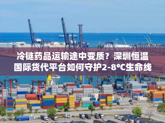 冷链药品运输途中变质？深圳恒温国际货代平台如何守护2-8℃生命线