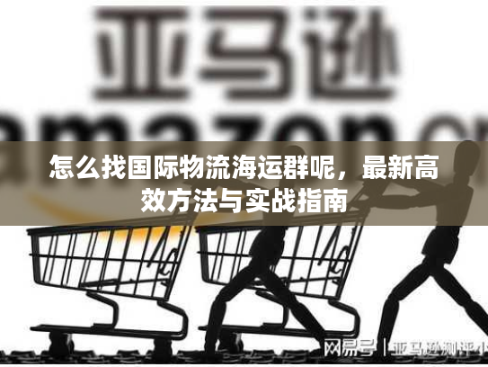 怎么找国际物流海运群呢，最新高效方法与实战指南