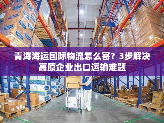 青海海运国际物流怎么寄?3步解决高原企业出口运输难题 青海海运国际物流怎么寄?3步解决高原企业出口运输难题