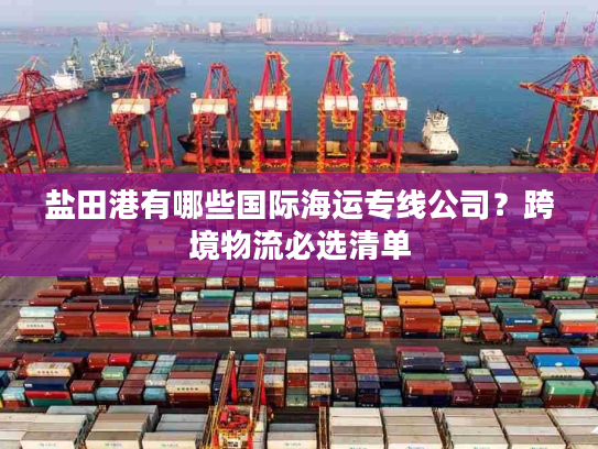盐田港有哪些国际海运专线公司？跨境物流必选清单