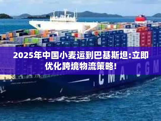 2025年中国小麦运到巴基斯坦:立即优化跨境物流策略! 2025年中国小麦运到巴基斯坦:立即优化跨境物流策略!
