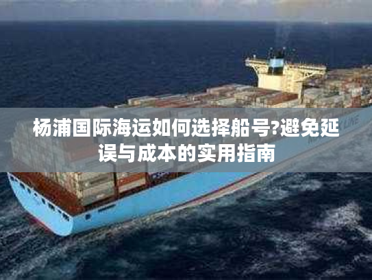 杨浦国际海运如何选择船号?避免延误与成本的实用指南