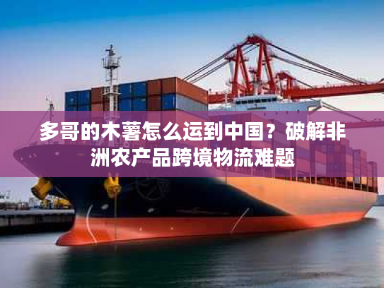 多哥的木薯怎么运到中国？破解非洲农产品跨境物流难题