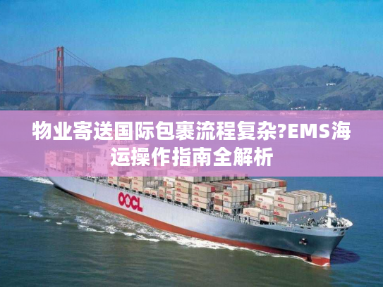 物业寄送国际包裹流程复杂?EMS海运操作指南全解析