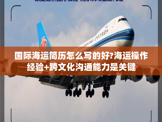 国际海运简历怎么写的好?海运操作经验+跨文化沟通能力是关键