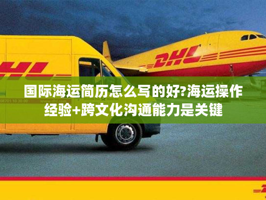 国际海运简历怎么写的好?海运操作经验+跨文化沟通能力是关键