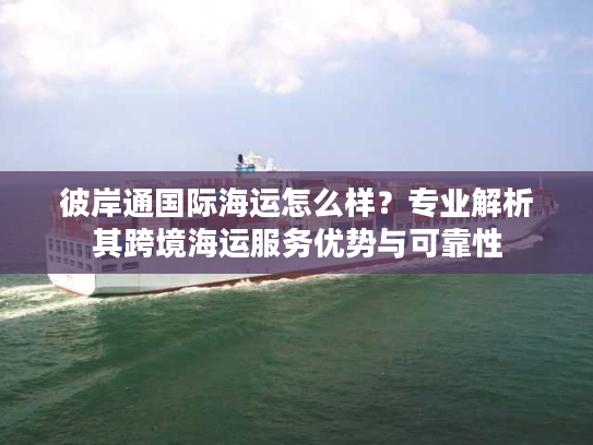 彼岸通国际海运怎么样？专业解析其跨境海运服务优势与可靠性