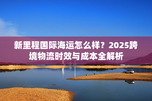 新里程国际海运怎么样？2025跨境物流时效与成本全解析