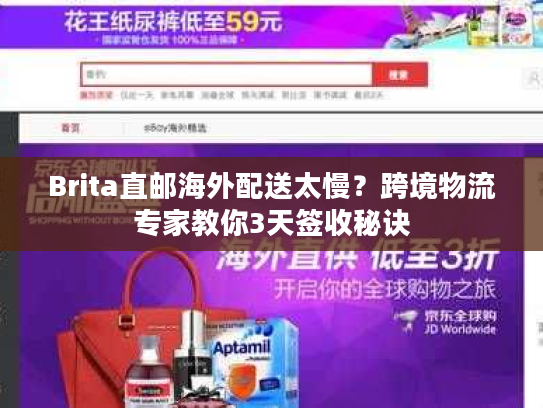 Brita直邮海外配送太慢?跨境物流专家教你3天签收秘诀 Brita直邮海外配送太慢?跨境物流专家教你3天签收秘诀