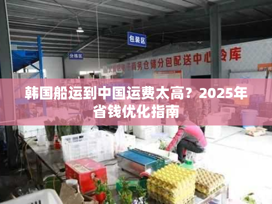 韩国船运到中国运费太高？2025年省钱优化指南