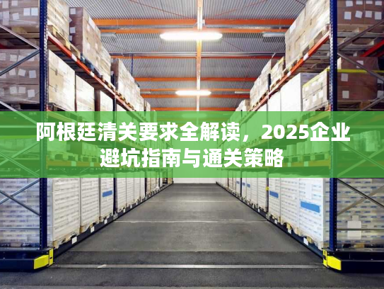 阿根廷清关要求全解读，2025企业避坑指南与通关策略