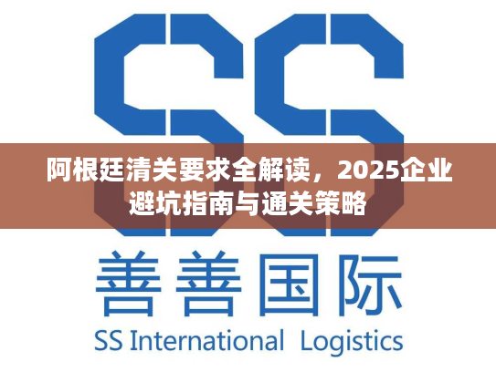 阿根廷清关要求全解读，2025企业避坑指南与通关策略