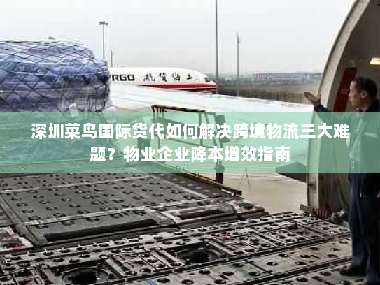 深圳菜鸟国际货代如何解决跨境物流三大难题？物业企业降本增效指南