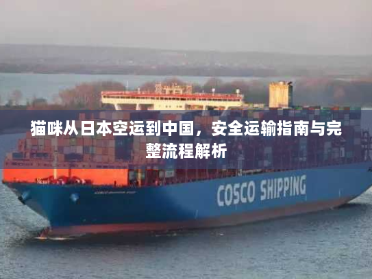 猫咪从日本空运到中国，安全运输指南与完整流程解析