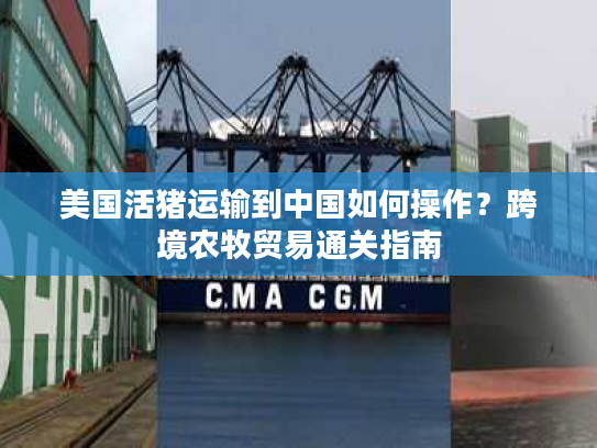 美国活猪运输到中国如何操作？跨境农牧贸易通关指南