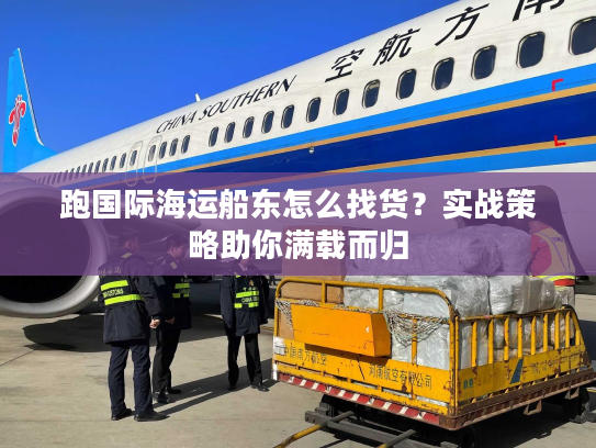 跑国际海运船东怎么找货？实战策略助你满载而归