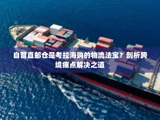 自营直邮仓是考拉海购的物流法宝？剖析跨境痛点解决之道