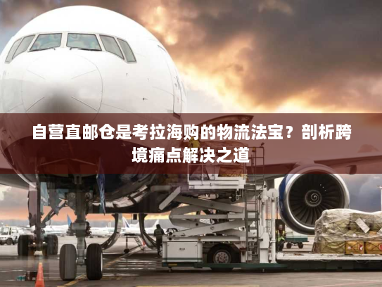 自营直邮仓是考拉海购的物流法宝？剖析跨境痛点解决之道