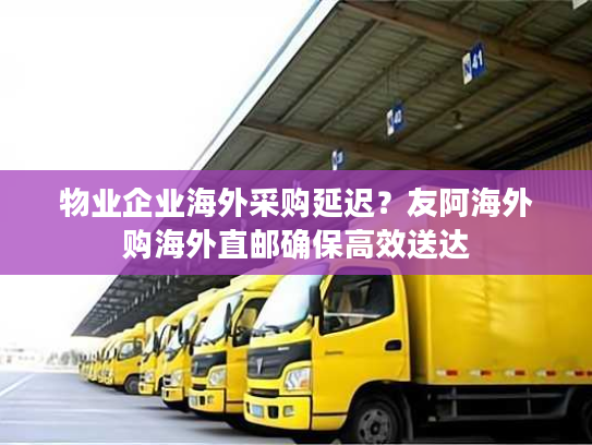 物业企业海外采购延迟？友阿海外购海外直邮确保高效送达