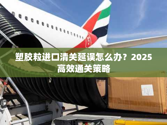 塑胶粒进口清关延误怎么办？2025高效通关策略