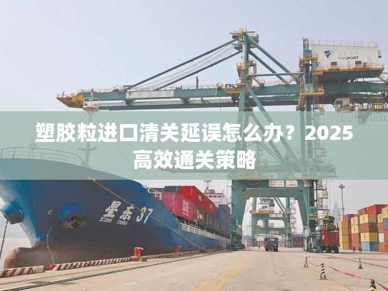 塑胶粒进口清关延误怎么办？2025高效通关策略