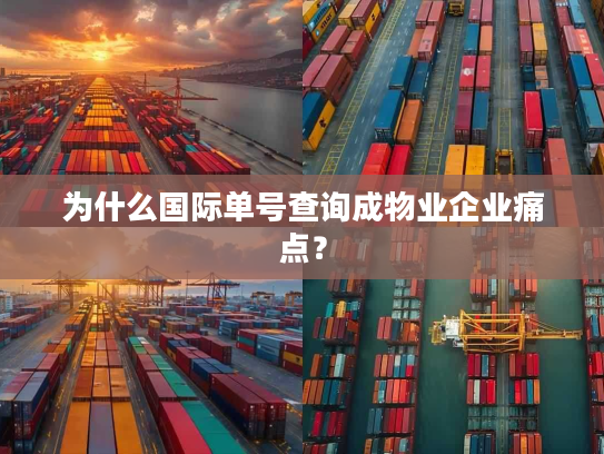 为什么国际单号查询成物业企业痛点？