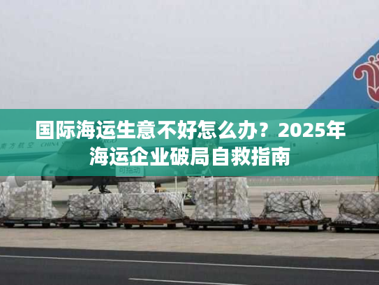 国际海运生意不好怎么办?2025年海运企业破局自救指南 国际海运生意不好怎么办?2025年海运企业破局自救指南