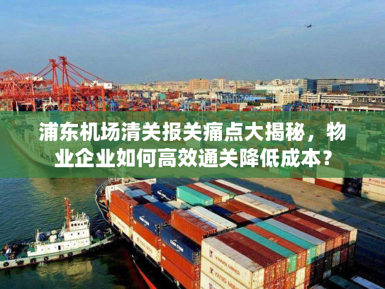 浦东机场清关报关痛点大揭秘，物业企业如何高效通关降低成本？