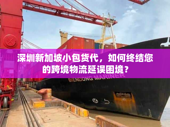 深圳新加坡小包货代，如何终结您的跨境物流延误困境？