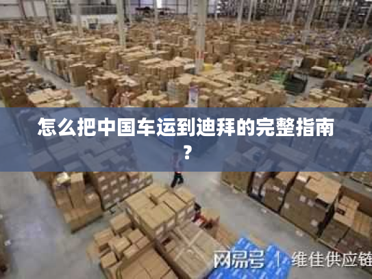 怎么把中国车运到迪拜的完整指南？