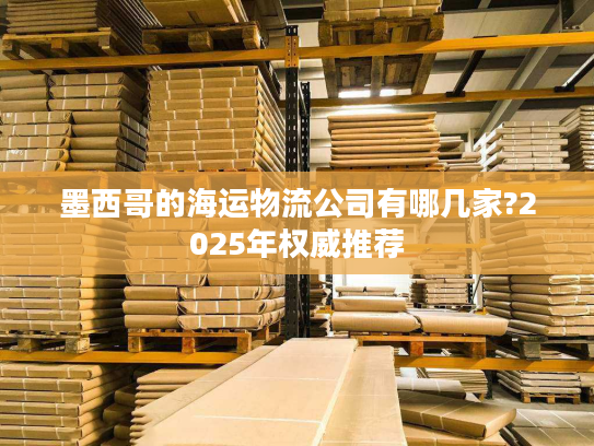 墨西哥的海运物流公司有哪几家?2025年权威推荐