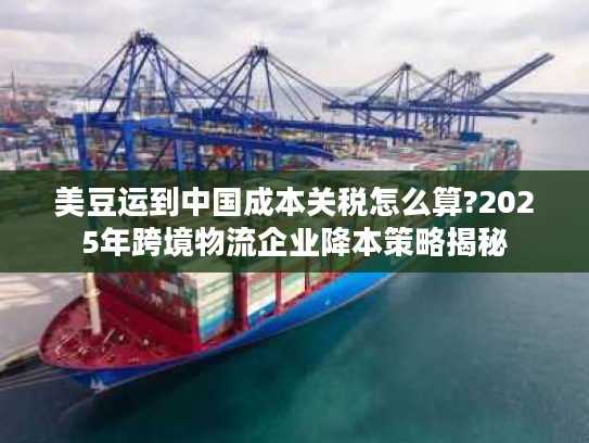 美豆运到中国成本关税怎么算?2025年跨境物流企业降本策略揭秘