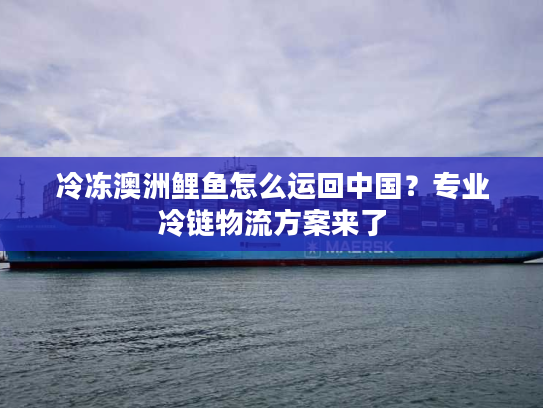 冷冻澳洲鲤鱼怎么运回中国？专业冷链物流方案来了