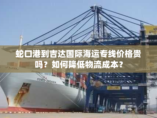 蛇口港到吉达国际海运专线价格贵吗？如何降低物流成本？