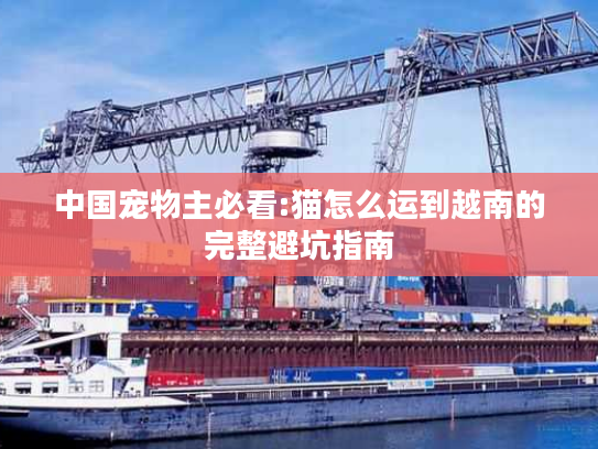 中国宠物主必看:猫怎么运到越南的完整避坑指南