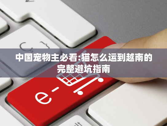 中国宠物主必看:猫怎么运到越南的完整避坑指南