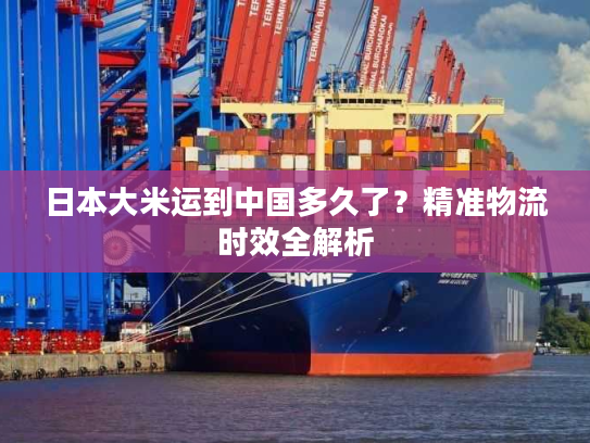 日本大米运到中国多久了?精准物流时效全解析 日本大米运到中国多久了?精准物流时效全解析